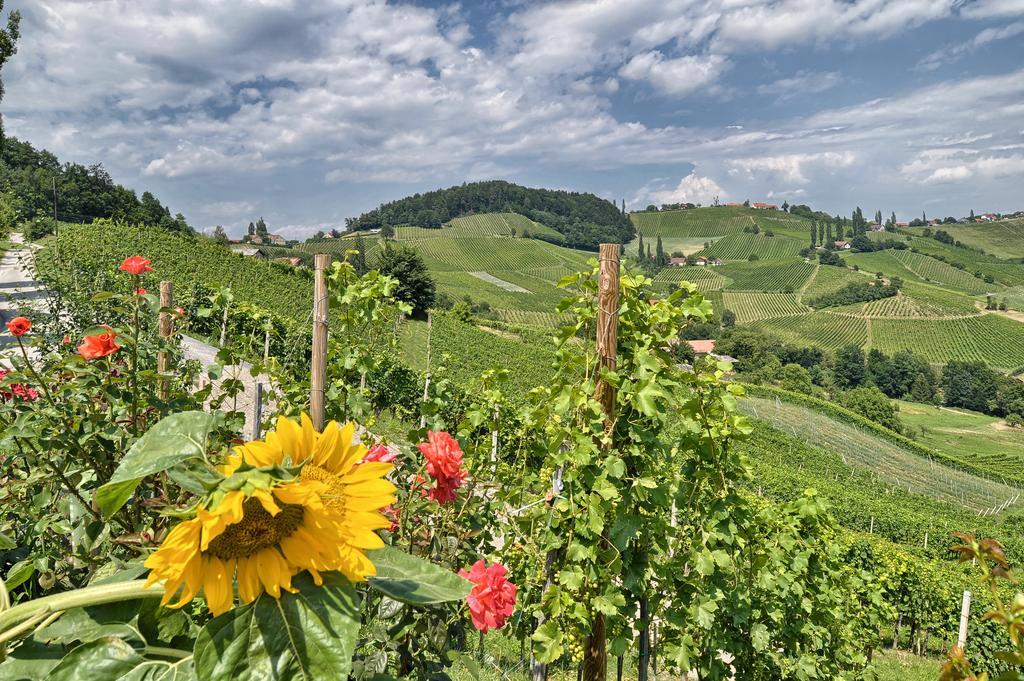 Farm Stay Jarc Vineyard Svecina Dış mekan fotoğraf