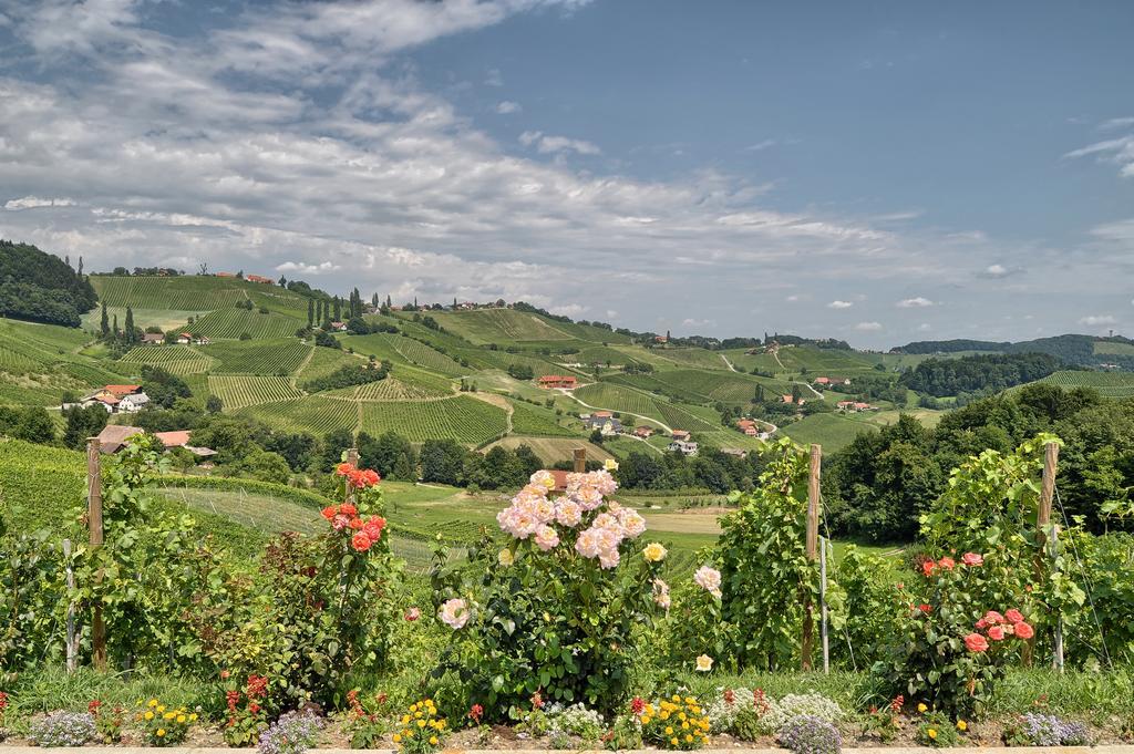 Farm Stay Jarc Vineyard Svecina Dış mekan fotoğraf